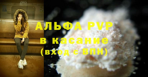 твердый Вяземский
