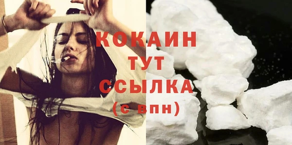 твердый Вяземский